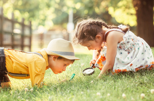 STEM in het kleuteronderwijs? Yes, please!
