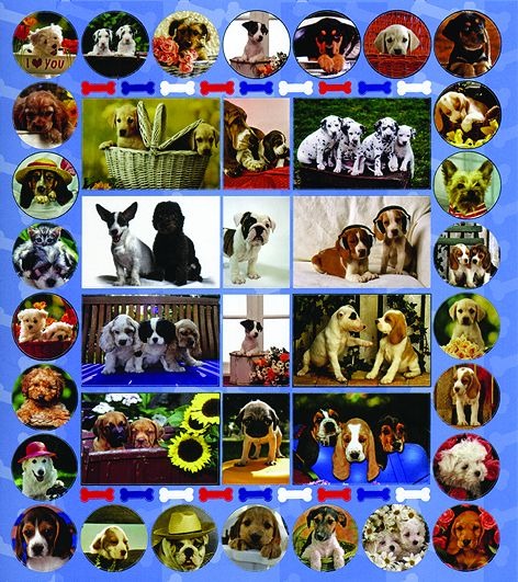 BELONINGSSTICKERS HONDJES - SET 10 VELLEN