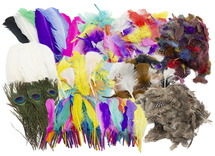 Pluimen - veren - voordeelpakket - decoratie - set van 11 zakken assorti