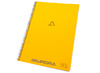 Schriften - spiraalschrift - Aurora - A4 - gelijnd - 80 g - 60 vellen - per stuk