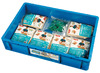 Boetseren - zand - modelleerzand 6 kg - vormen - per set