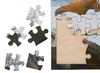 Puzzel - themapuzzel - Rolf Connect - poolgebied - 81 stukjes - met app - augmented reality - hout - per stuk