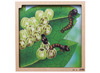 Puzzel - groeipuzzel - vlinder - Rolf Connect - 4 lagen - 86 stukjes - met app - augmented reality - hout - per stuk