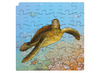 Puzzel - groeipuzzel - schildpad - Rolf Connect - 4 lagen - 86 stukjes - met app - augmented reality - hout - per stuk