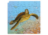 Rolf connect - groeipuzzel schildpad - 4 lagen + free app