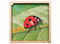 Puzzel - groeipuzzel - lieveheersbeestje - Rolf Connect - 4 lagen - 86 stukjes - met app - augmented reality - hout - per stuk