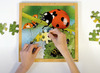 Puzzel - groeipuzzel - lieveheersbeestje - Rolf Connect - 4 lagen - 86 stukjes - met app - augmented reality - hout - per stuk
