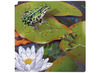 Puzzel - groeipuzzel - kikker - Rolf Connect - 4 lagen - 86 stukjes - met app - augmented reality - hout - per stuk