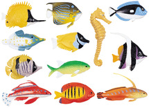 Speelgoed - figuren - Learning Resources Fun Fish Counters - vissen - set van 60 assorti