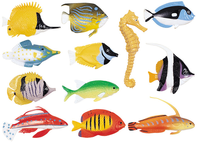 POISSONS A TRIER - SET/60