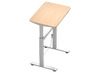 TAFEL - HOOGTEVERSTELBAAR MET GASVEER - 70 X 70 CM