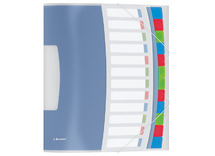 Mappen - sorteermap - Esselte - A4 - kunststof - 12 tabs - per stuk