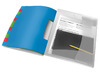 Mappen - sorteermap - Esselte - A4 - kunststof - 12 tabs - per stuk