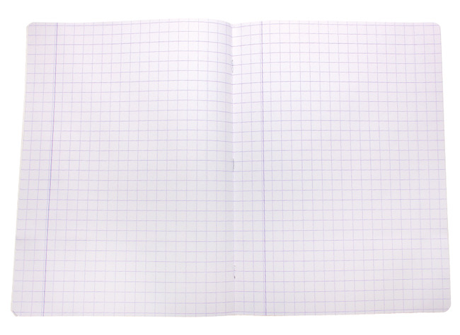 Schriften - Aurora - A4 - 80 g - 36 bladzijden - geruit - 10 mm - set van 25