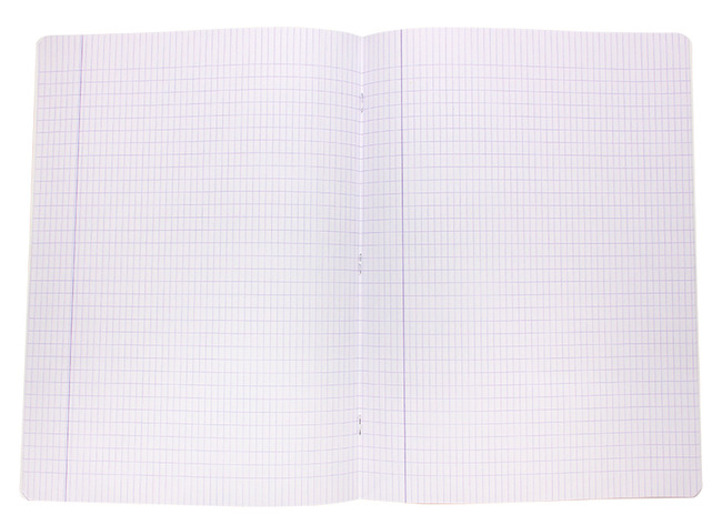 Schriften - Aurora - A4 - 80 g - 36 bladzijden - commercieel geruit - set van 25