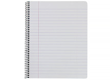 Schriften - spiraalschrift - 16,5 x 21 cm - 60 bladen - 120 bladzijden - gelijnd - per stuk