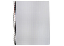 Schriften - spiraalschrift - 16,5 x 21 cm - 60 bladen - 120 bladzijden - geruit - 5 mm - per stuk