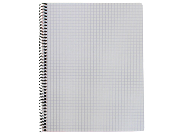 Schriften - spiraalschrift - 16,5 x 21 cm - 60 bladen - 120 bladzijden - geruit - 5 mm - per stuk