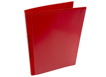 Mappen - ringmap - 2 ringen - personaliseerbaar - A4 - rug 4 cm - doorschijnende pp - per stuk