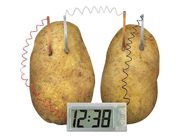 Bouwset - 4M Green Science Potato Clock - aardappelklok - STEM / STEAM - per stuk