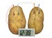 Potato Clock