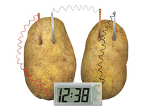 Bouwpakket - 4M - Green Science - aardappelklok - STEM / STEAM - per stuk