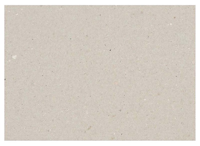 Karton - grijs - 70 x 100 cm - 400 g - set van 25