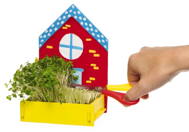 PETIT POTAGER EN BOIS
