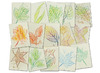 Krasplaten - Royclo - bladeren - bos - set van 16 assorti