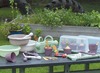 Voedingsset - imitatievoeding - Dantoy - Green Garden - groenten kweken - bioplastic - set van 54 assorti