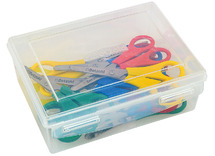 Opbergen - dozen - plastic - set van 20
