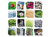 Spel - memory - sensorisch - tactiel - voelen - per spel