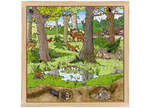 Puzzel - themapuzzel - Rolf - bos - seizoenen - lente en zomer - 64 stukjes - hout - per stuk