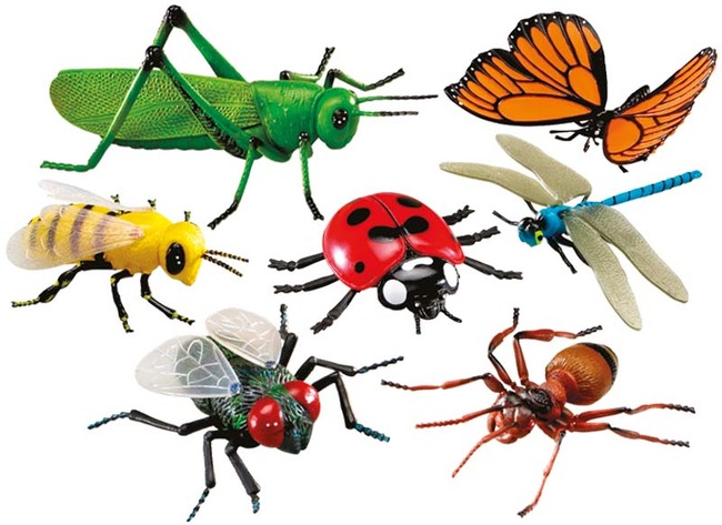 Speelgoed - figuren - Learning Resources Jumbo Insects - insecten - set van 7 assorti
