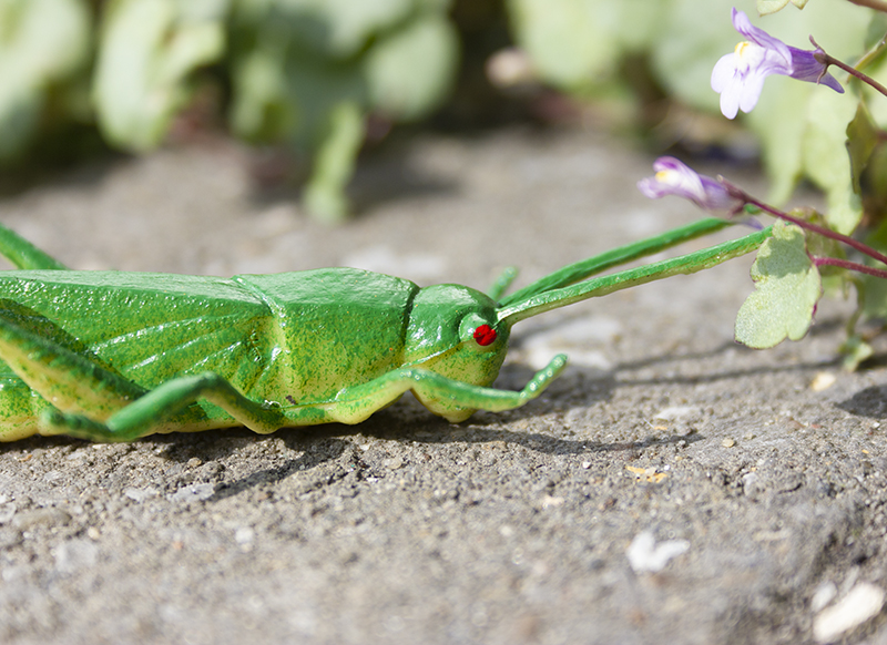 dieren - insecten van 48 assorti - Baert