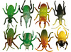 Decoratie - insecten - spinnen - set van 60 assorti