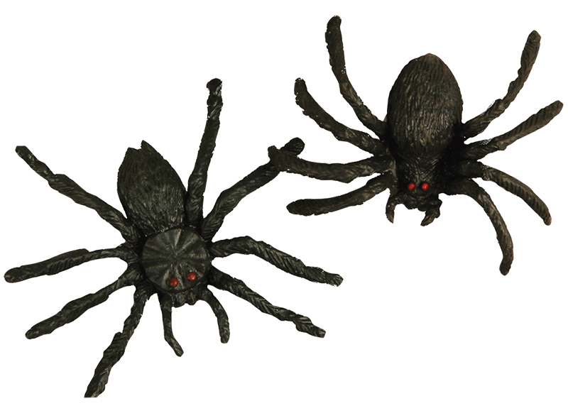 Decoratie - insecten - set assorti - Baert
