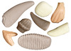 Ontdekkingsmateriaal - Yellow Door Let’s Investigate Prehistoric Teeth - prehistorische tanden - steenmix - 10,5 cm - set van 8