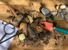 Ontdekkingsmateriaal - Yellow Door Let’s Investigate Prehistoric Teeth - prehistorische tanden - steenmix - 10,5 cm - set van 8