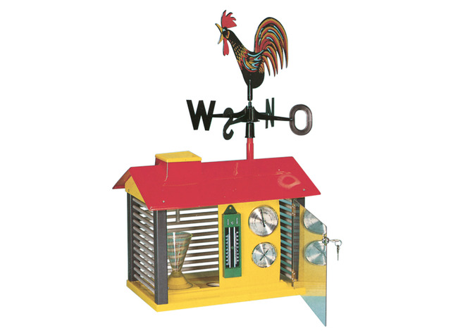 Weerstation - met thermometer, barometer, hygrometer, regenmeter en windhaan - weer - per stuk