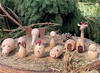Speelgoed - figuurtjes - dieren - Tickit - hout - set van 10 assorti