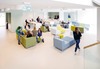LOUNGE - SEAT - RUG