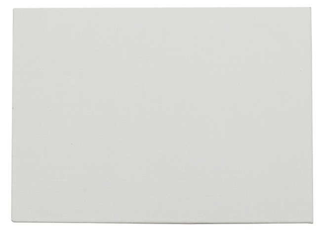 Canvas - schilderpaneel - 24 x 30 cm - set van 10