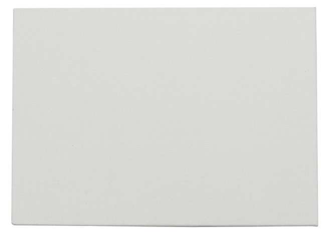 Canvas - schilderpanelen - 24 x 30 cm - set van 10