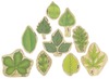 Speelgoed - figuren - Freckled Frog Stacking Leaves - bladvormen - hout - set van 10