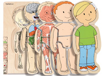 Lagenpuzzel - menselijk lichaam