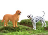 Speelgoed - dieren - huisdieren - set van 8 assorti