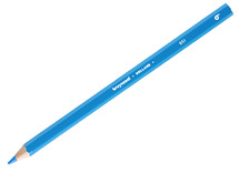 Potloden - kleurpotloden - Bruynzeel Mega - zeshoekig - dik - etui - lichtblauw - set van 10