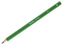 Potloden - kleurpotloden - Bruynzeel Mega - zeshoekig - dik - etui - donkergroen - set van 10
