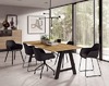 TAFEL - HUISLIJK - A - 200X100X76 CM